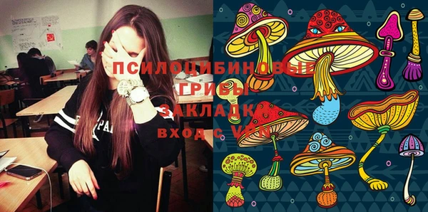 сатива Армянск