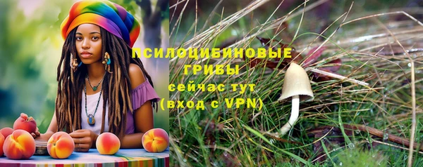 гидропоника Арсеньев