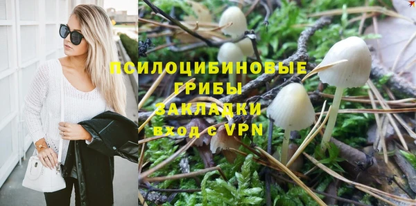 гидропоника Арсеньев