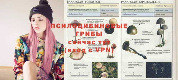 сатива Армянск