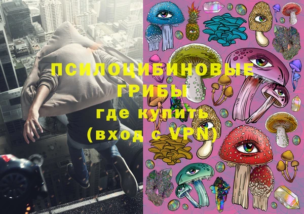 гидропоника Арсеньев